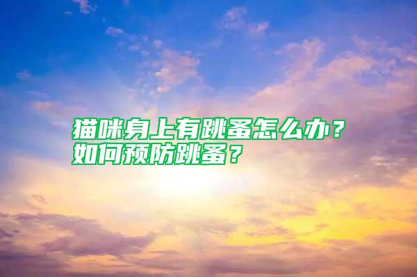 貓咪身上有跳蚤怎么辦？如何預防跳蚤？