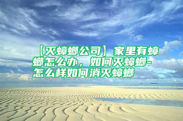 【滅蟑螂公司】家里有蟑螂怎么辦，如何滅蟑螂-怎么樣如何消滅蟑螂