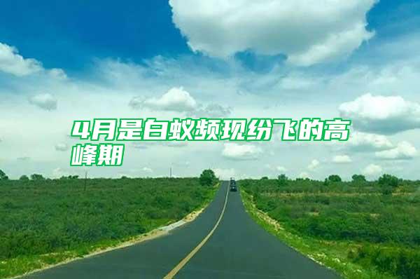 4月是白蟻頻現紛飛的高峰期