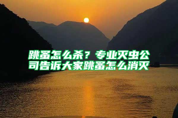 跳蚤怎么殺？專業(yè)滅蟲公司告訴大家跳蚤怎么消滅