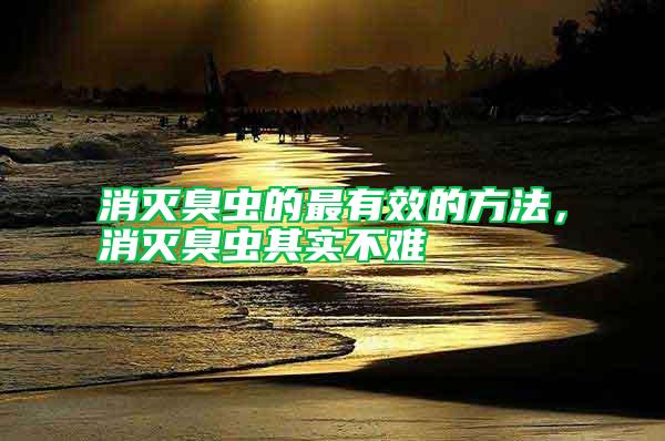 消滅臭蟲的最有效的方法，消滅臭蟲其實不難