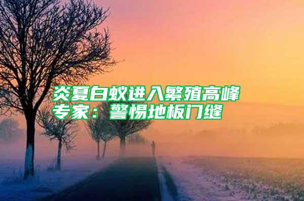 炎夏白蟻進入繁殖高峰 專家：警惕地板門縫