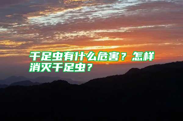 千足蟲有什么危害？怎樣消滅千足蟲？
