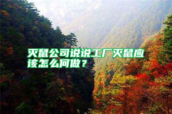 滅鼠公司說說工廠滅鼠應該怎么何做？