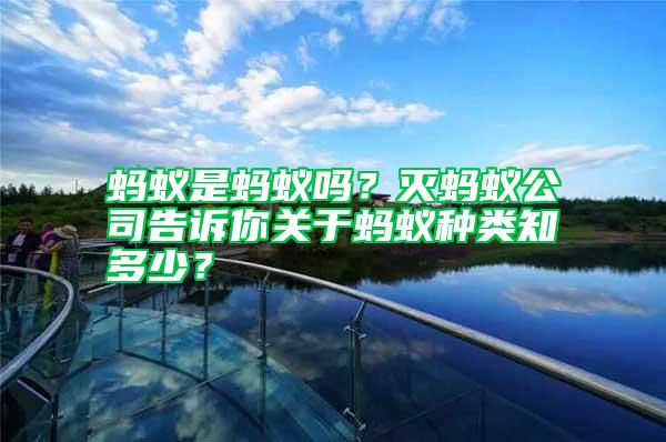 螞蟻是螞蟻嗎？滅螞蟻公司告訴你關于螞蟻種類知多少？