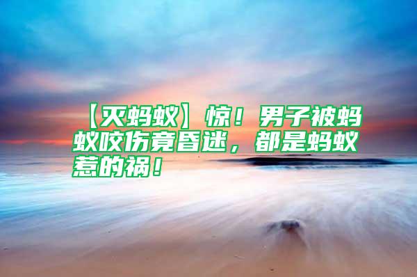 【滅螞蟻】驚！男子被螞蟻咬傷竟昏迷，都是螞蟻惹的禍！