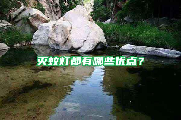 滅蚊燈都有哪些優(yōu)點(diǎn)？