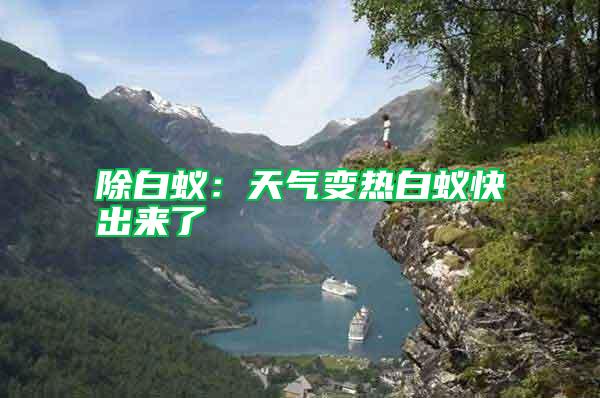 除白蟻：天氣變熱白蟻快出來(lái)了