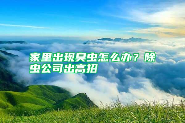 家里出現臭蟲怎么辦？除蟲公司出高招