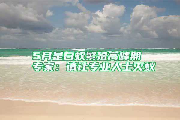 5月是白蟻繁殖高峰期 專家：請(qǐng)讓專業(yè)人士滅蟻