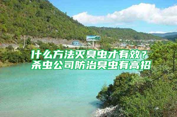 什么方法滅臭蟲(chóng)才有效？殺蟲(chóng)公司防治臭蟲(chóng)有高招