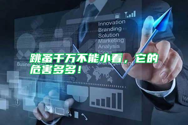 跳蚤千萬不能小看，它的危害多多！