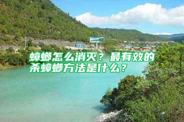 蟑螂怎么消滅？最有效的殺蟑螂方法是什么？