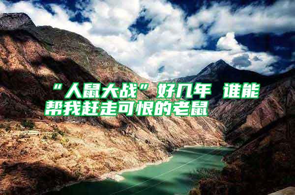“人鼠大戰(zhàn)”好幾年 誰能幫我趕走可恨的老鼠
