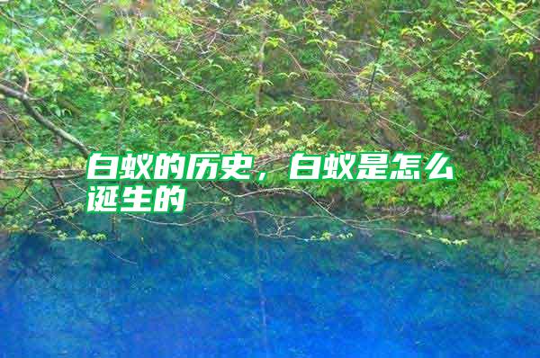 白蟻的歷史，白蟻是怎么誕生的