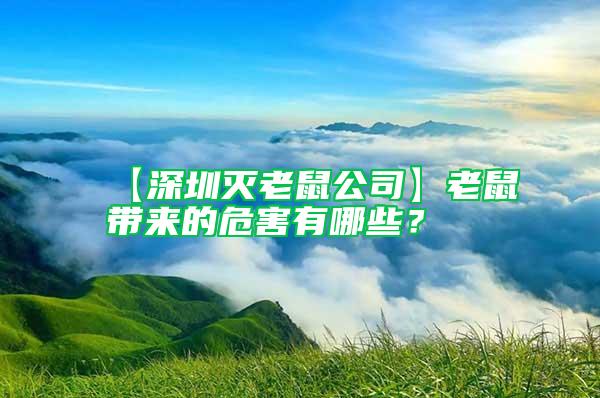 【深圳滅老鼠公司】老鼠帶來(lái)的危害有哪些？