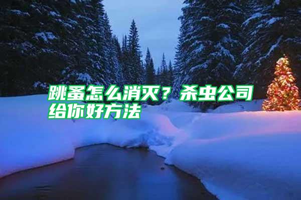 跳蚤怎么消滅？殺蟲公司給你好方法