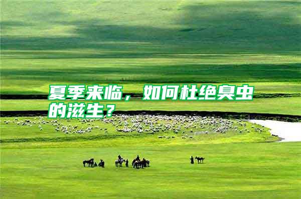 夏季來臨，如何杜絕臭蟲的滋生？