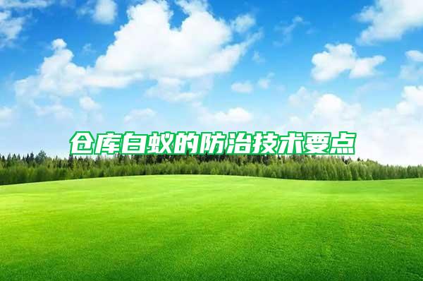 倉庫白蟻的防治技術(shù)要點
