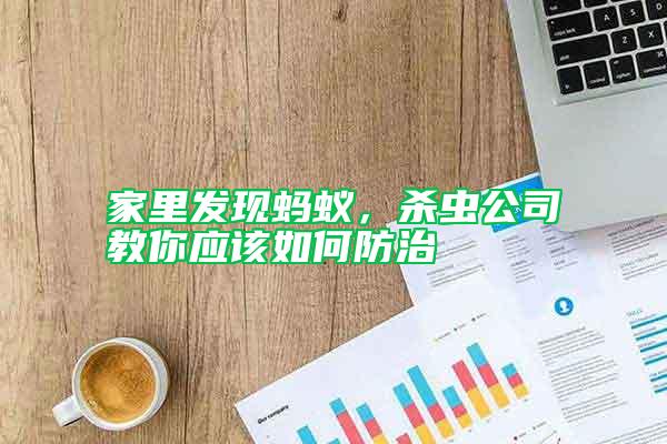 家里發(fā)現(xiàn)螞蟻，殺蟲公司教你應(yīng)該如何防治