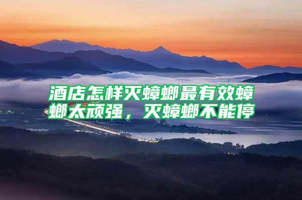 酒店怎樣滅蟑螂最有效蟑螂太頑強，滅蟑螂不能停
