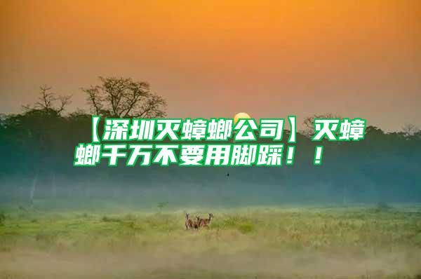 【深圳滅蟑螂公司】滅蟑螂千萬不要用腳踩??！