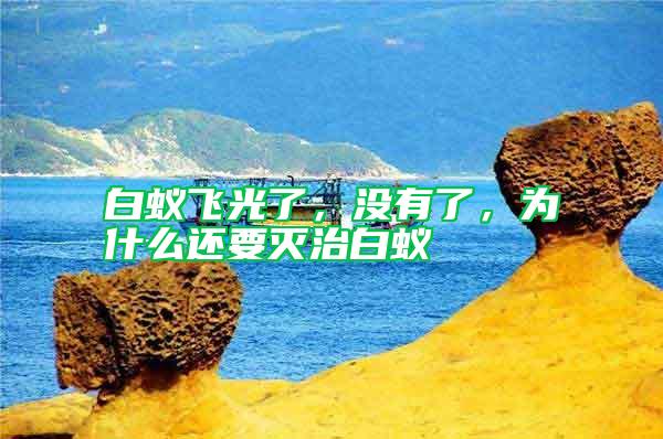 白蟻飛光了，沒有了，為什么還要滅治白蟻