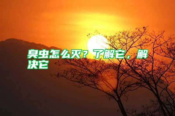 臭蟲怎么滅？了解它，解決它