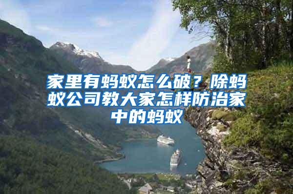 家里有螞蟻怎么破？除螞蟻公司教大家怎樣防治家中的螞蟻