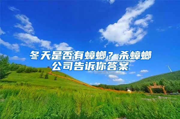 冬天是否有蟑螂？殺蟑螂公司告訴你答案