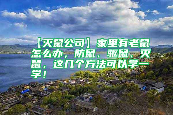 【滅鼠公司】家里有老鼠怎么辦，防鼠、驅鼠、滅鼠，這幾個方法可以學一學！