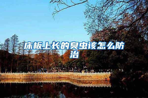 床板上長(zhǎng)的臭蟲該怎么防治