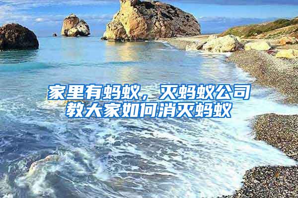 家里有螞蟻，滅螞蟻公司教大家如何消滅螞蟻