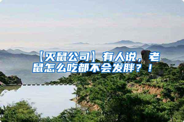 【滅鼠公司】有人說，老鼠怎么吃都不會發(fā)胖？！