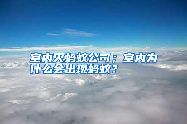 室內(nèi)滅螞蟻公司；室內(nèi)為什么會出現(xiàn)螞蟻？