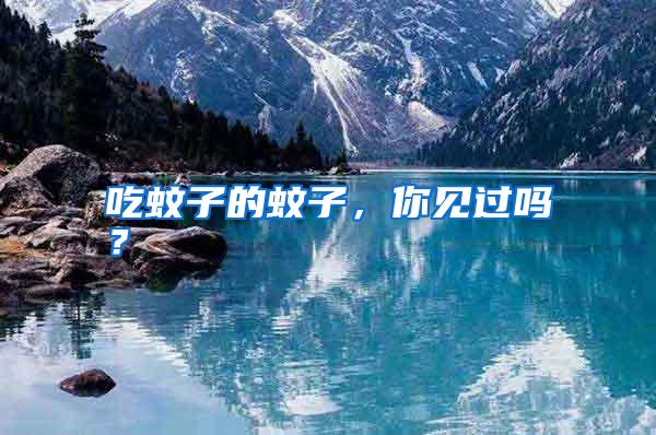 吃蚊子的蚊子，你見過嗎？