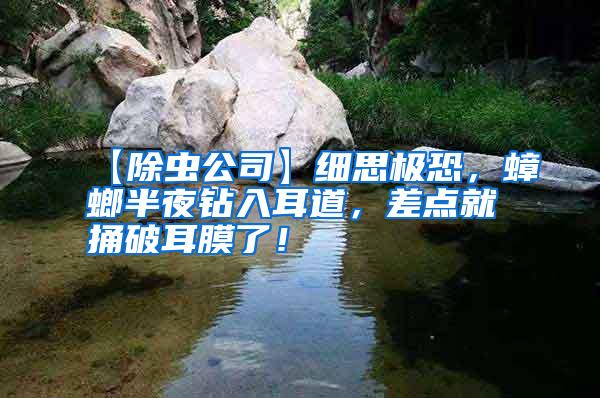 【除蟲公司】細思極恐，蟑螂半夜鉆入耳道，差點就捅破耳膜了！