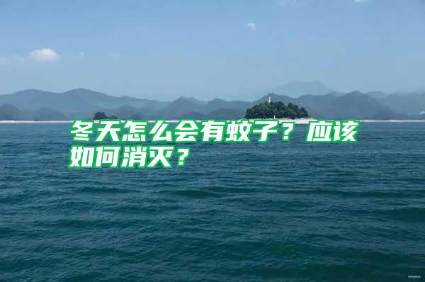 冬天怎么會有蚊子？應該如何消滅？