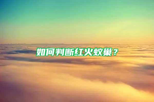 如何判斷紅火蟻巢？