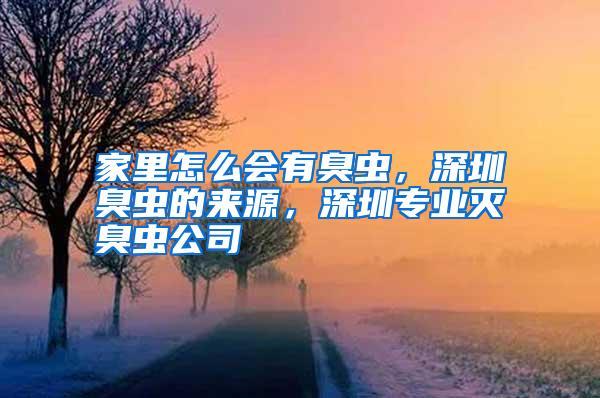 家里怎么會(huì)有臭蟲，深圳臭蟲的來源，深圳專業(yè)滅臭蟲公司
