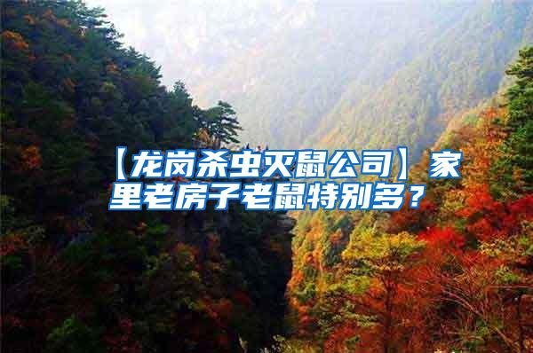 【龍崗殺蟲滅鼠公司】家里老房子老鼠特別多？