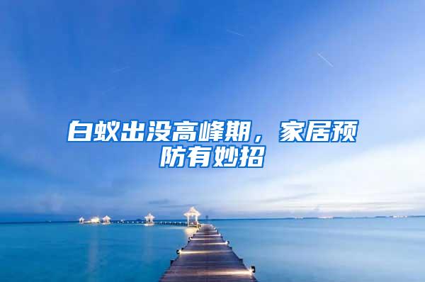 白蟻出沒高峰期，家居預防有妙招