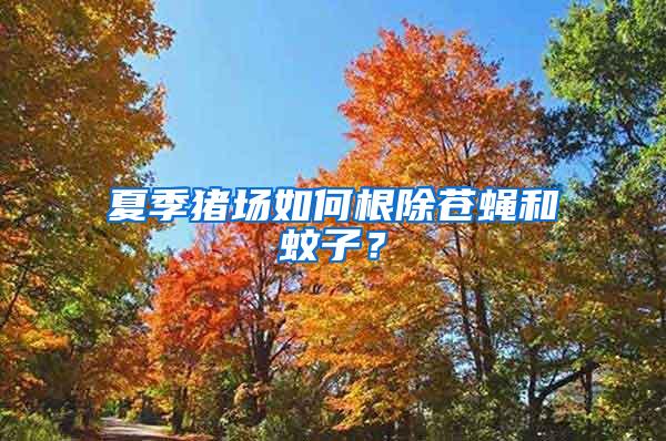 夏季豬場(chǎng)如何根除蒼蠅和蚊子？
