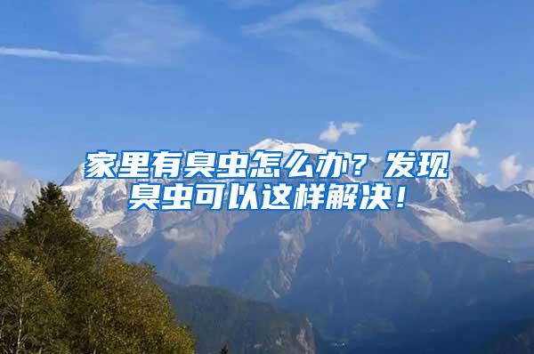 家里有臭蟲(chóng)怎么辦？發(fā)現(xiàn)臭蟲(chóng)可以這樣解決！