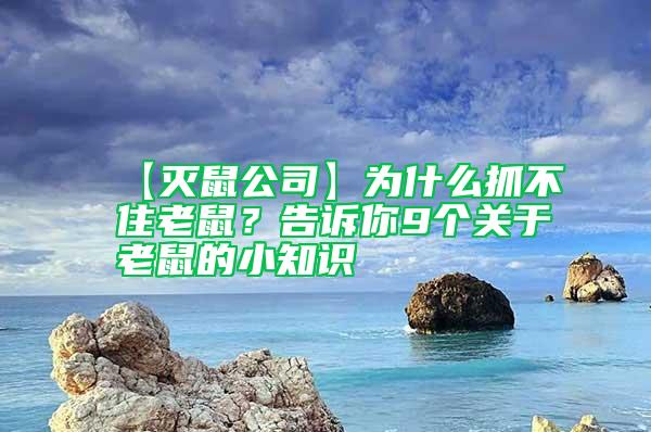【滅鼠公司】為什么抓不住老鼠？告訴你9個(gè)關(guān)于老鼠的小知識(shí)