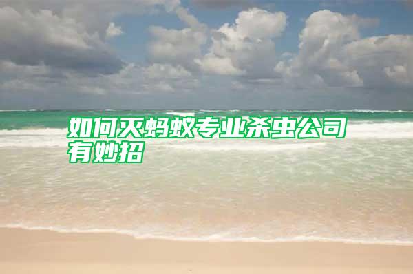 如何滅螞蟻專業(yè)殺蟲(chóng)公司有妙招