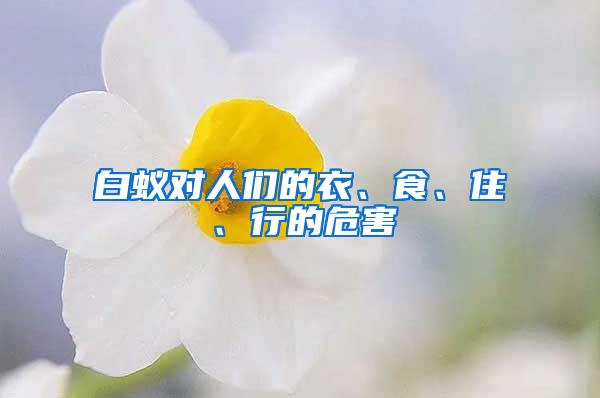 白蟻對人們的衣、食、住、行的危害