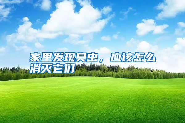 家里發(fā)現(xiàn)臭蟲，應該怎么消滅它們