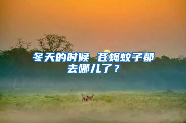 冬天的時(shí)候 蒼蠅蚊子都去哪兒了？