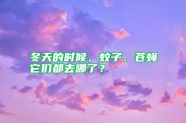 冬天的時(shí)候，蚊子、蒼蠅它們都去哪了？